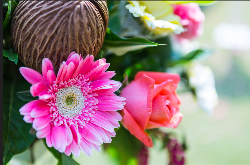 Flower collection hero background