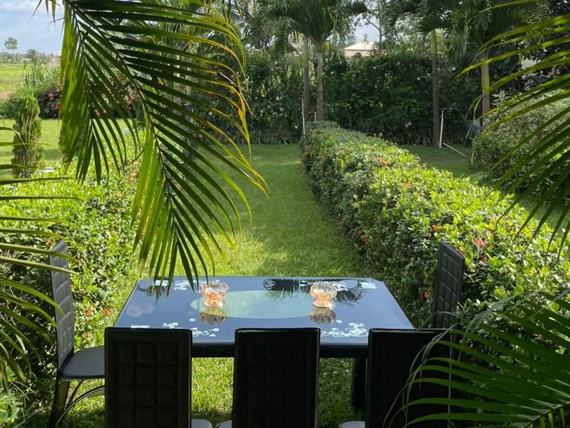 African Inspired Oasis