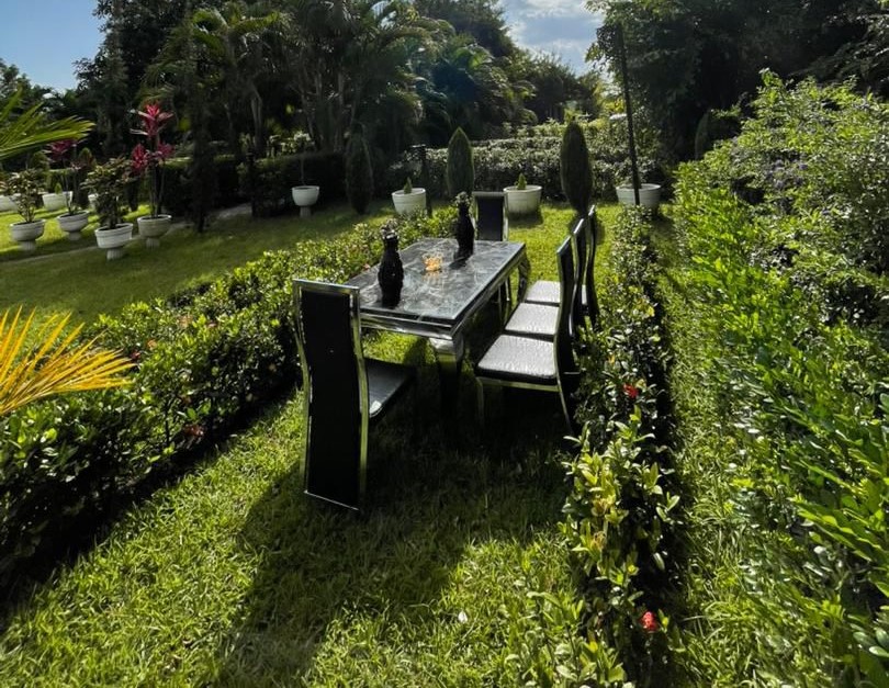 Family Backyard Haven