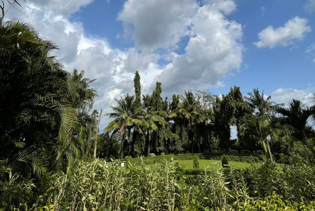 Eco-Friendly Landscape