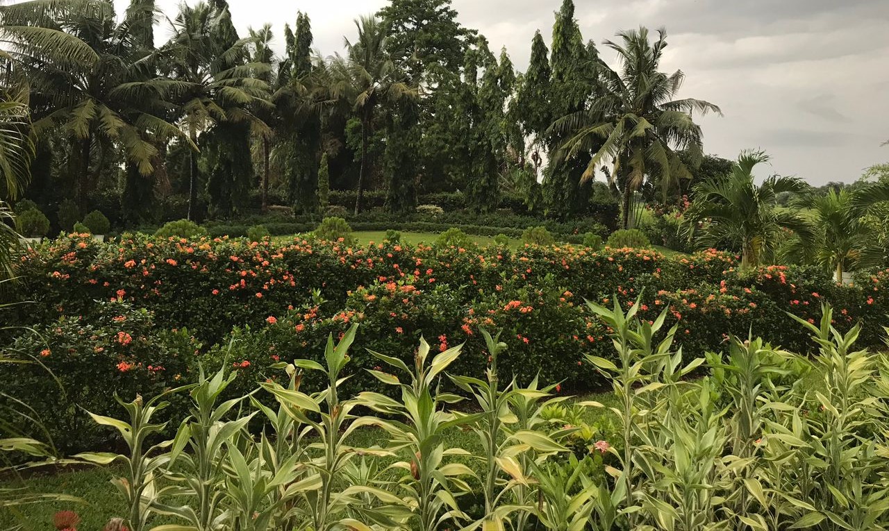 Luxury Estate Grounds