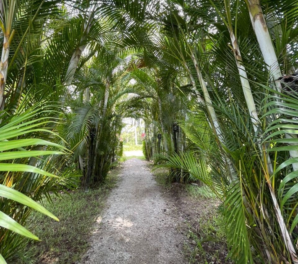 Landscape design example